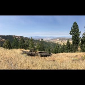 Meet your Posher, Lydia